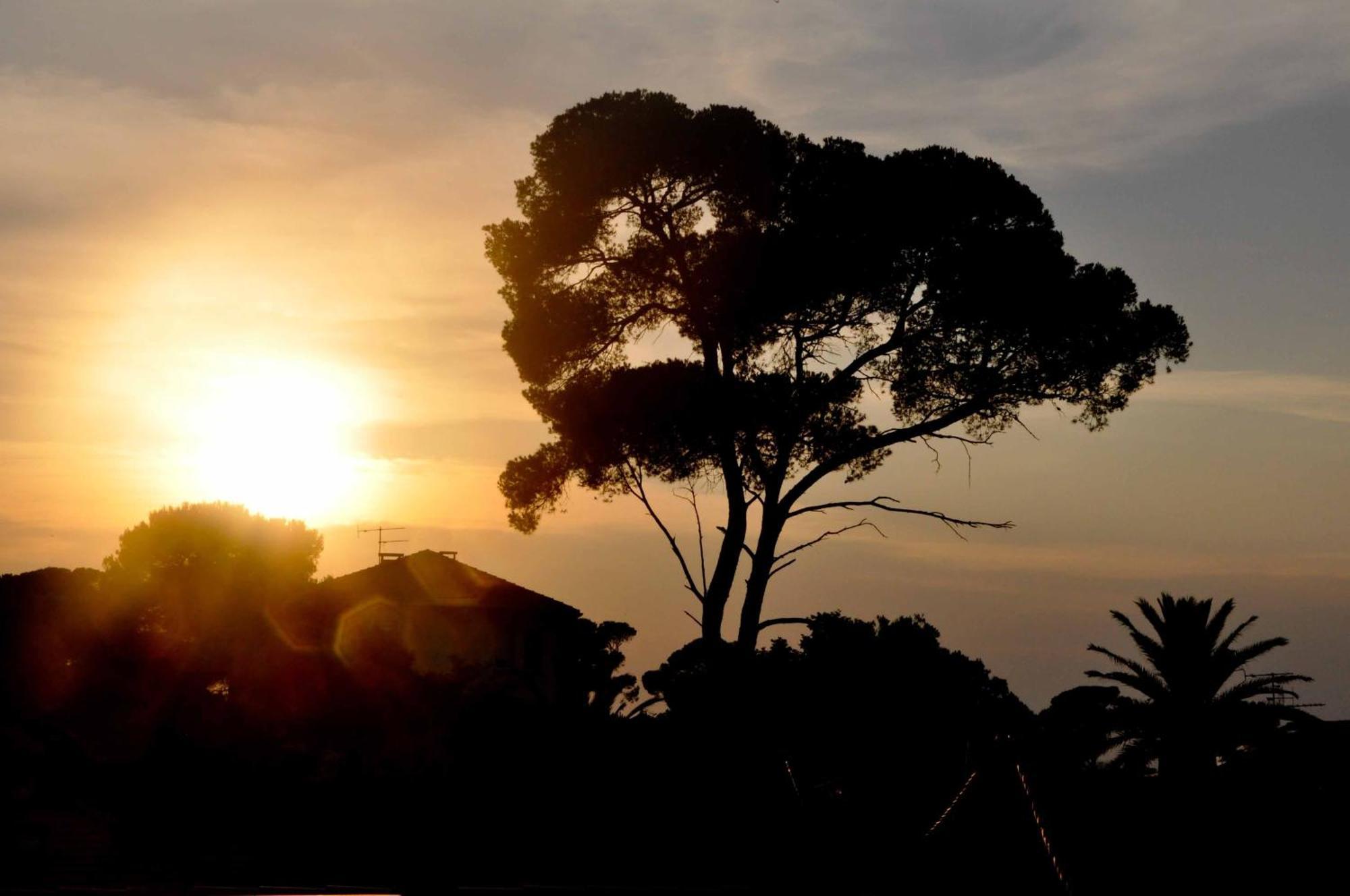 Hotel L'Escale Au Soleil แซงเตกูลฟ์ ภายนอก รูปภาพ