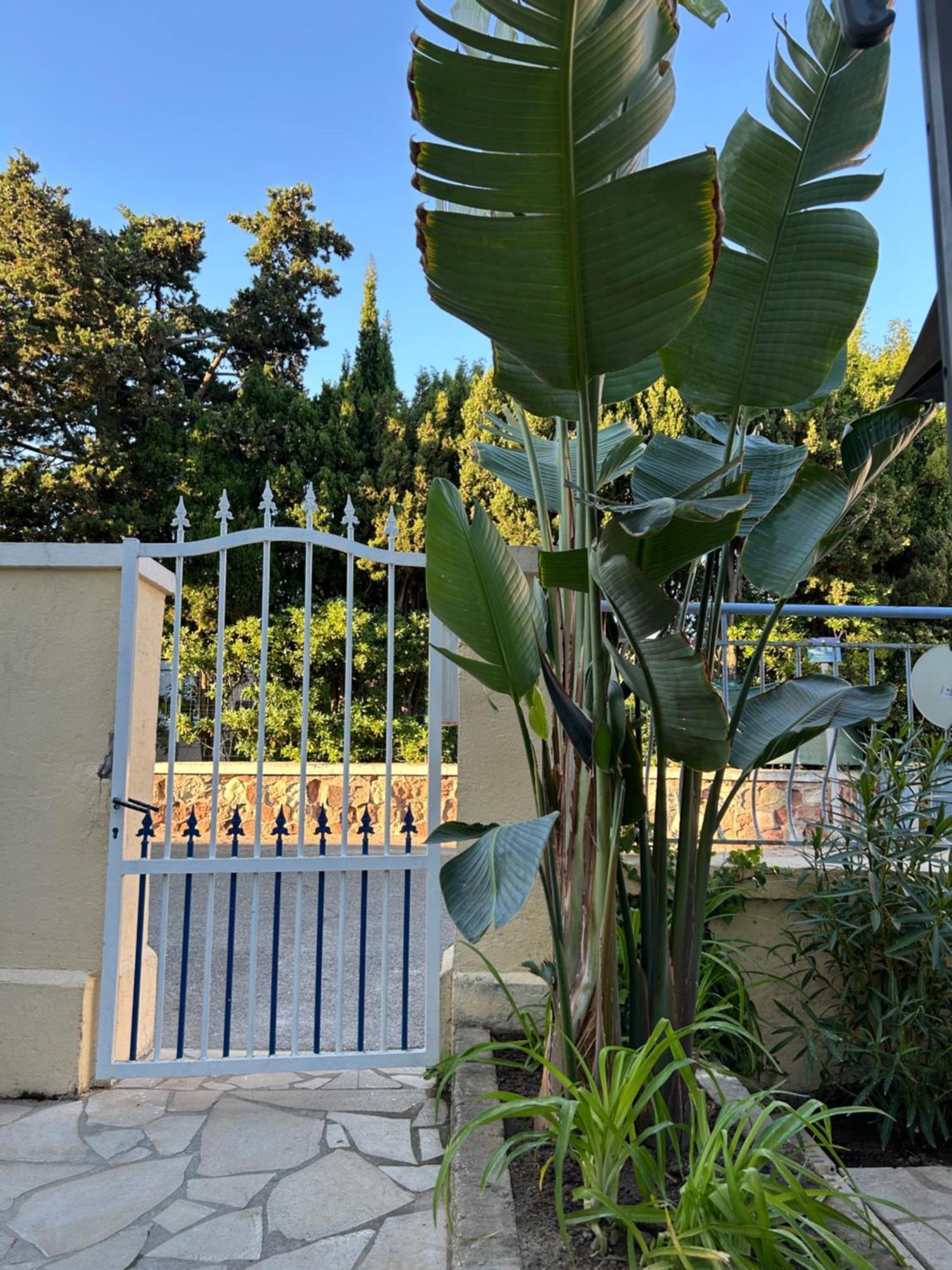 Hotel L'Escale Au Soleil แซงเตกูลฟ์ ภายนอก รูปภาพ